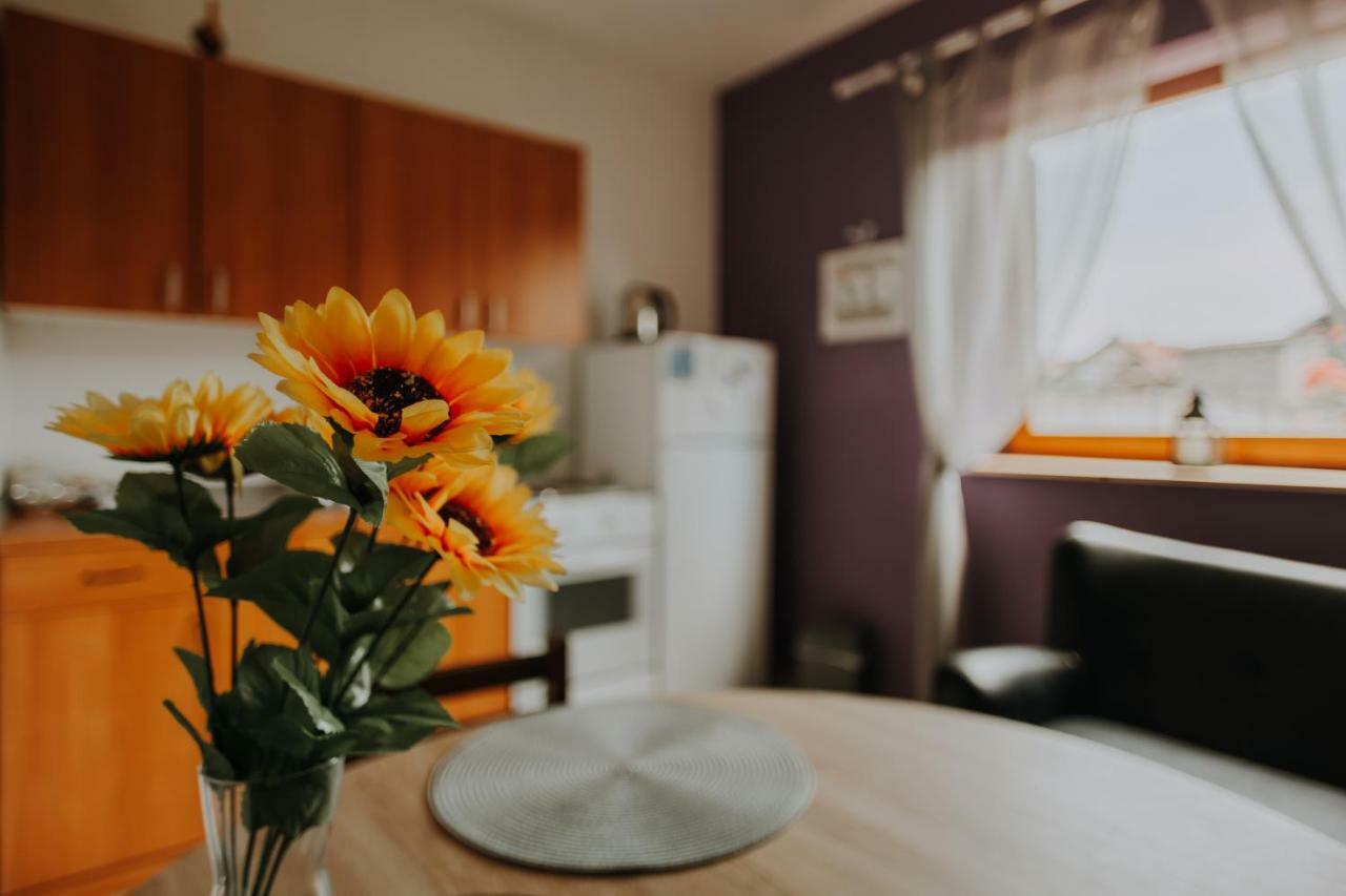 Apartmani Marin Vukovar Eksteriør bilde